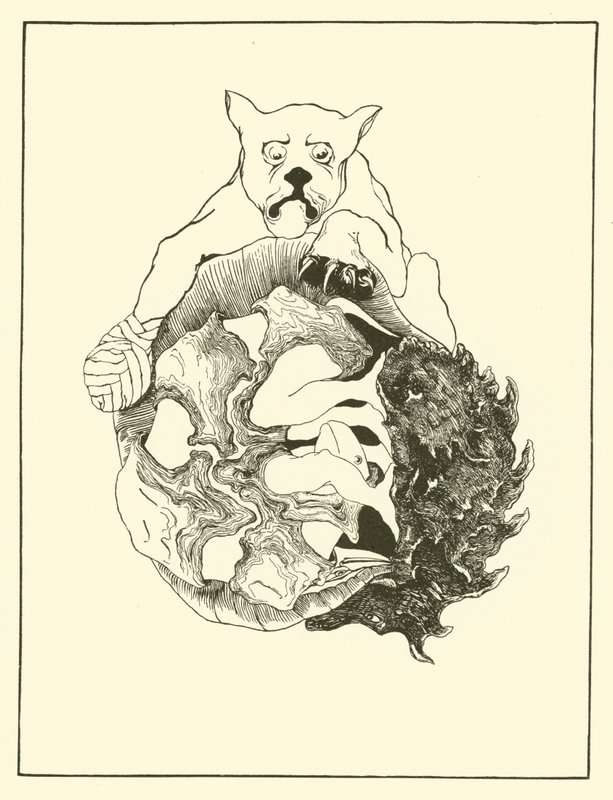 Whole Story of the Jaguar and the Hedgehog and the Tortoise and the Armadillo All in a Heap by Joseph Rudyard (after) Kipling