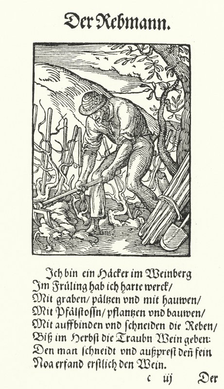 The Vine Grower by Jost (after) Amman