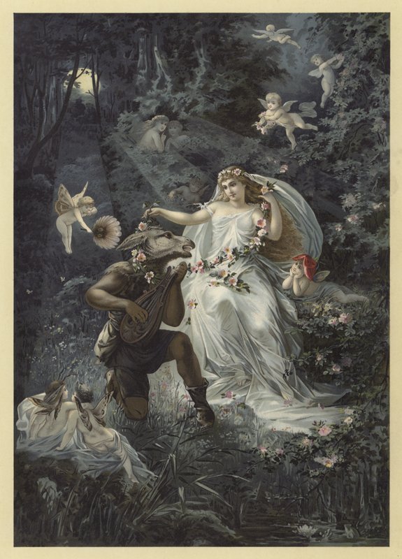 Illustration for A Midsummer Night