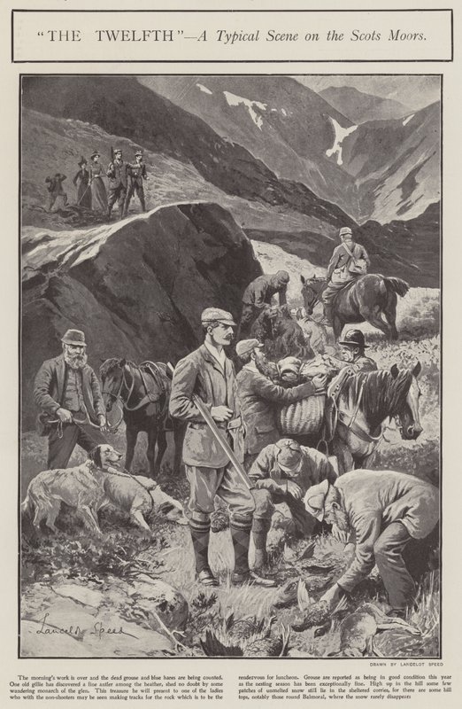 "The Twelth" - a typical scene on the Scots Moors by Lancelot Speed