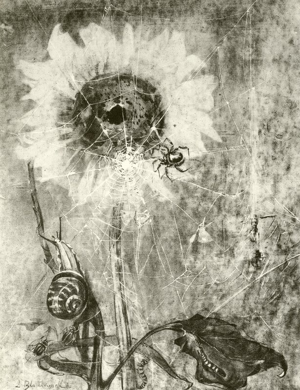 The Fairies by Lily Blatherwick