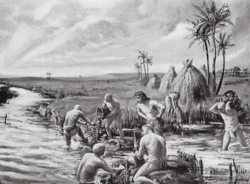 Draining the Marshes by Margaret (after) Dovaston