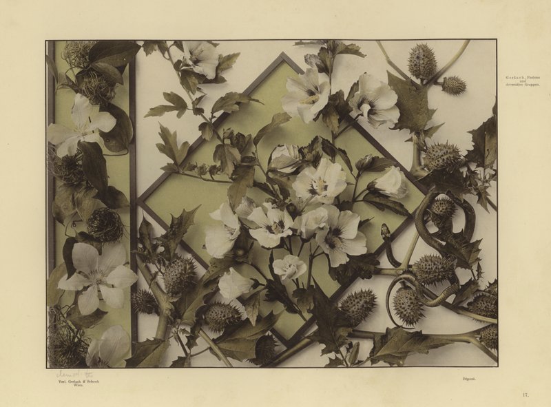 One of Martin Gerlach’s Festons and Decorative Groups by Martin senior Gerlach