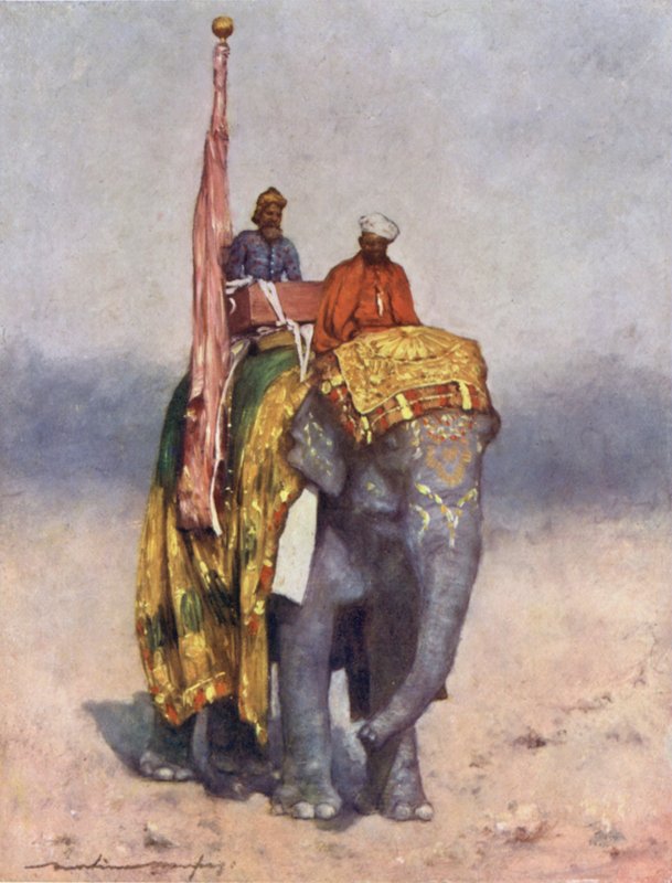 An Elephant from the Sandy Wastes of Rajputana by Mortimer Ludington Menpes