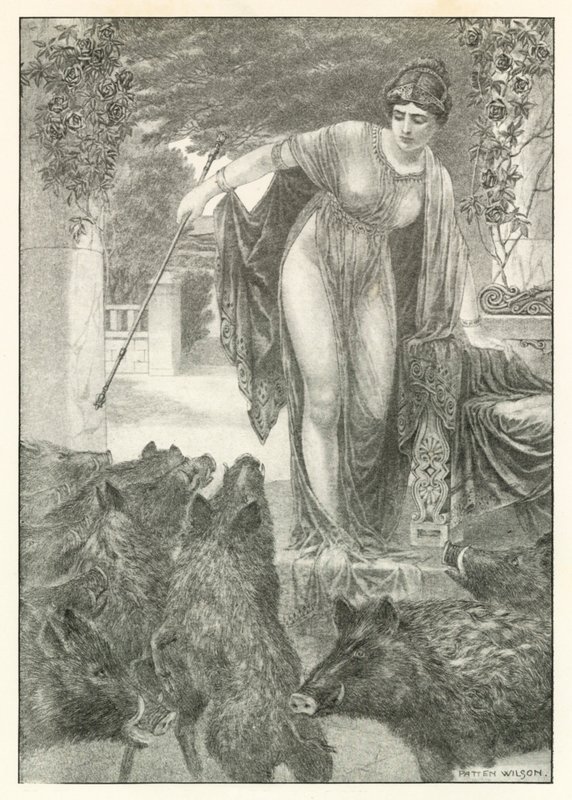 Illustration for Homer