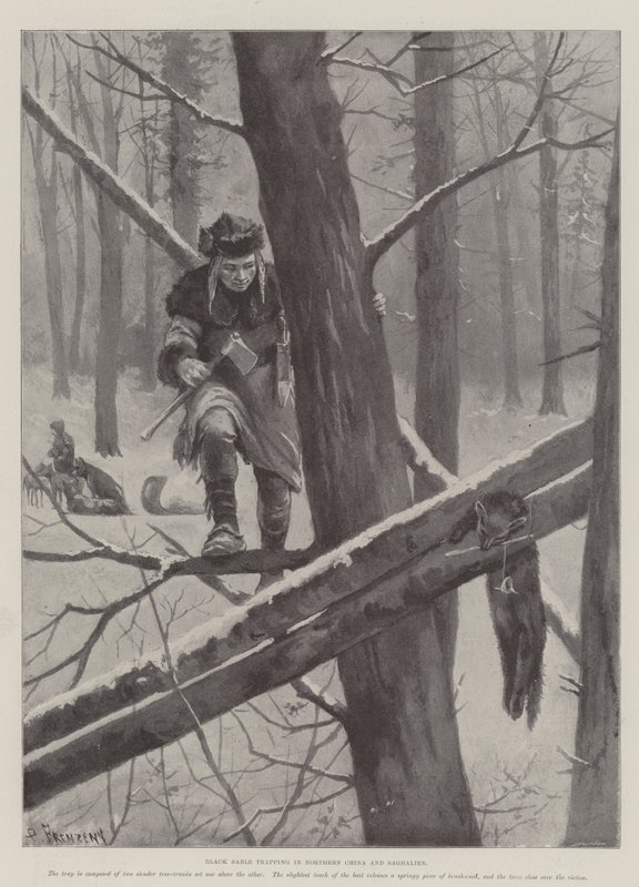 Black Sable trapping in Northern China and Saghalien by Paul Frenzeny