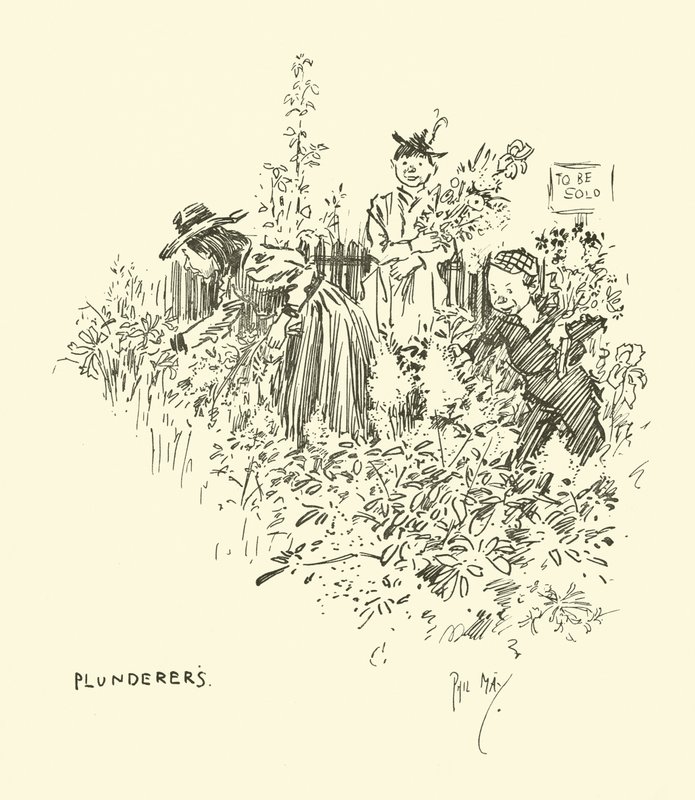 Illustration for Phil May