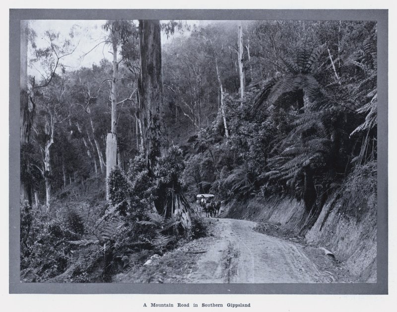 A Mountain Road in Southern Gippsland by Photographer Australian