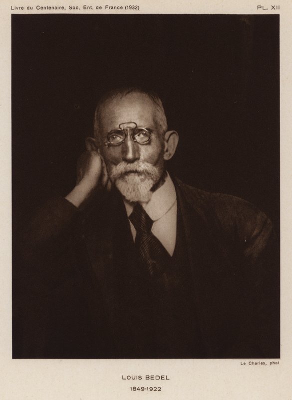 Ernest Marie Louis Bedel, French Entomologist by Photographer French