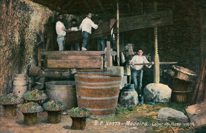 Wine Press, Madeira, Portugal by Photographer Portuguese