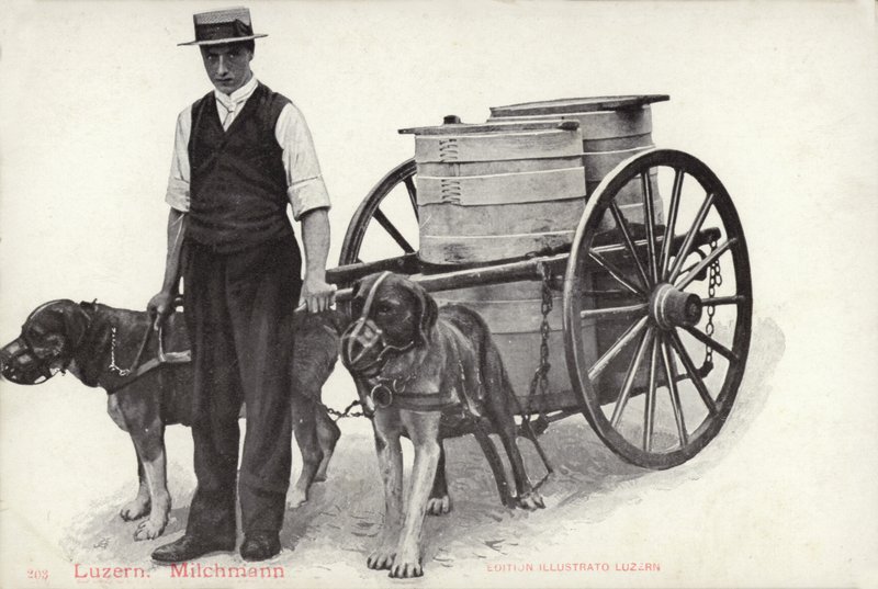 Milkman, Lucerne, Switzerland by Photographer Swiss