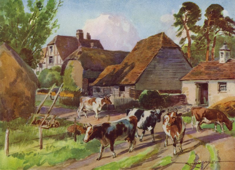 Illustration for My Farm by Reginald Mills
