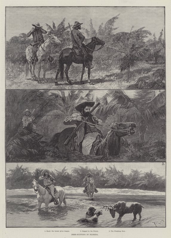 Deer-Hunting in Florida by Richard Caton Woodville junior