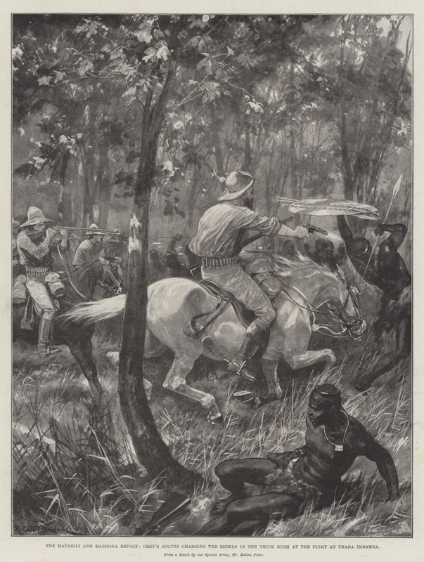 The Matabili and Mashona Revolt, Grey