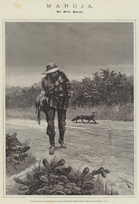 Maruja, by Bret Harte by Richard Caton Woodville junior