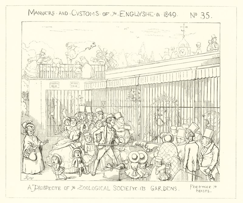 A prospect of the Zoological Societys Gardens (1849) by Richard Doyle