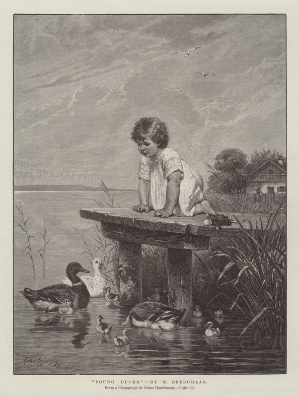 Young Ducks by Robert Julius Beyschlag