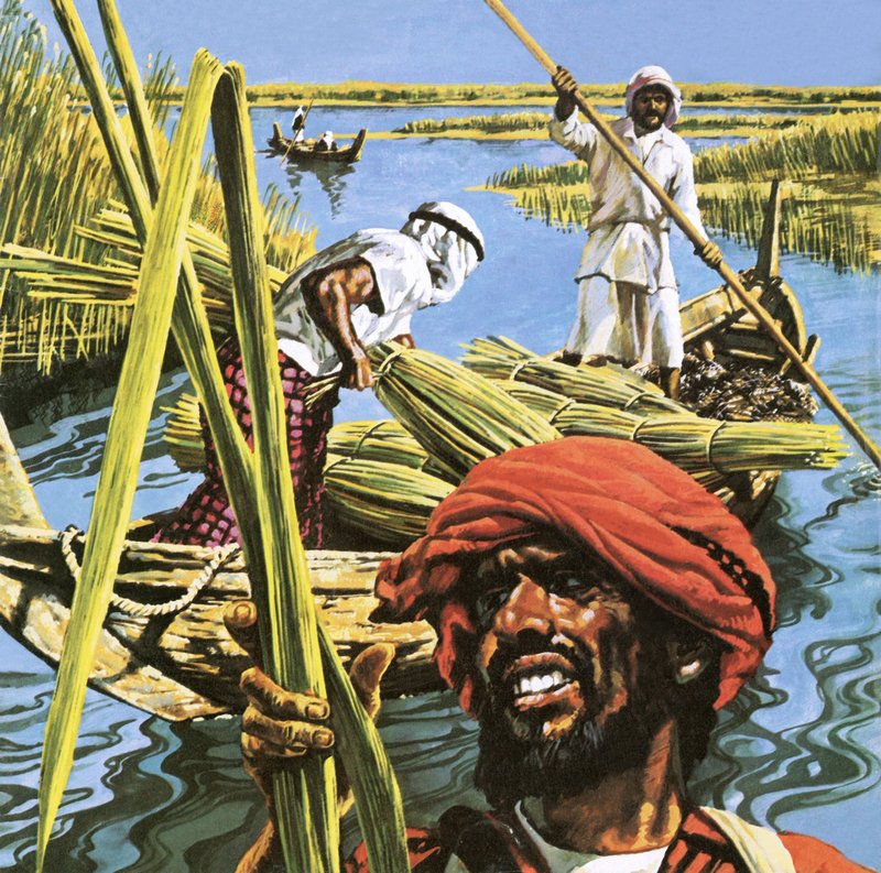 Men of the Marshes of Southern Iraq by Roger Payne