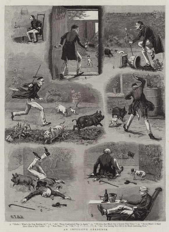 An Impulsive Gardener by S.T. Dadd