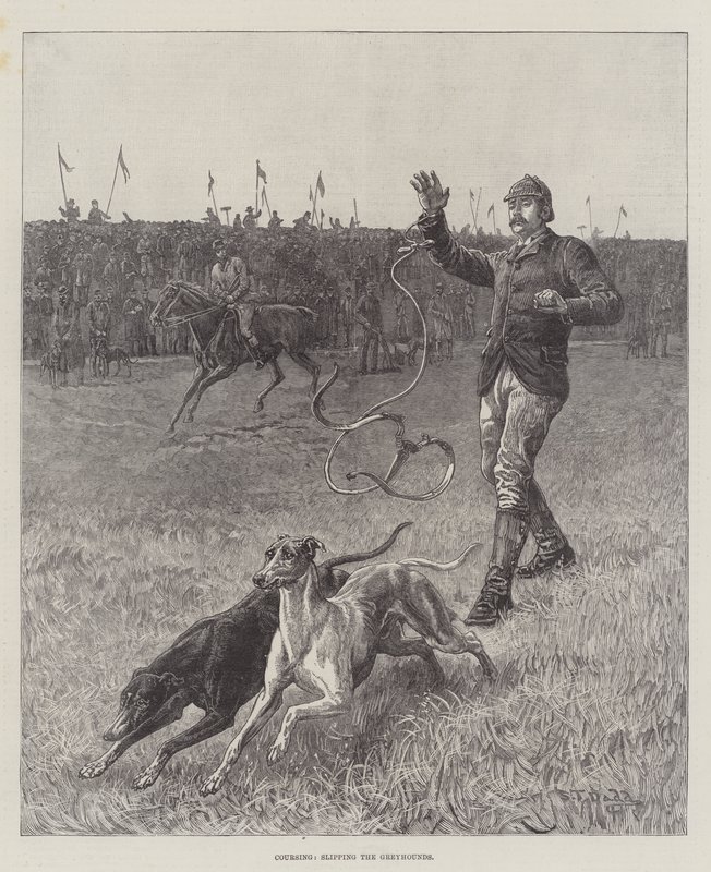 Coursing, Slipping the Greyhounds by S.T. Dadd