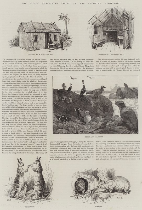 The South Australian Court at the Colonial Exhibition by S.T. Dadd