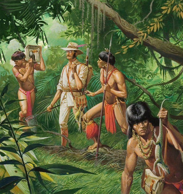 Henry Bates, Explorer of the Amazon Basin by Severino Baraldi