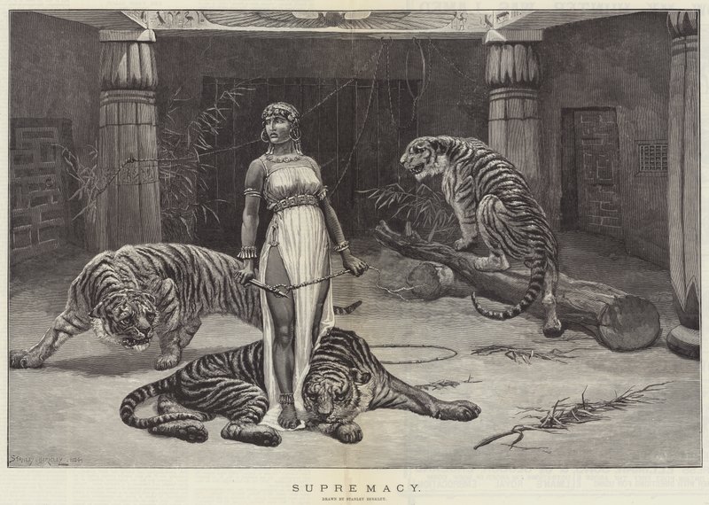 Supremacy by Stanley Berkeley