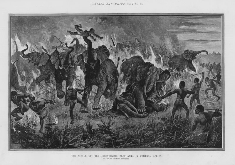 The circle of fire - destroying elephants in Central Africa by Stanley (after) Berkeley