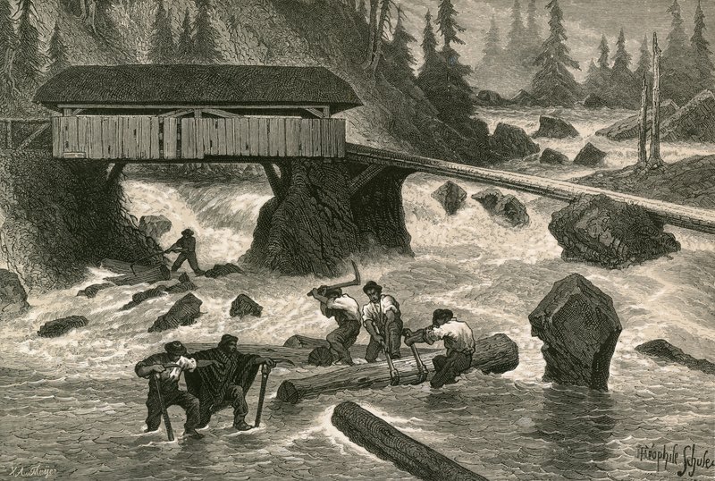 Wood-Floaters by Swiss School