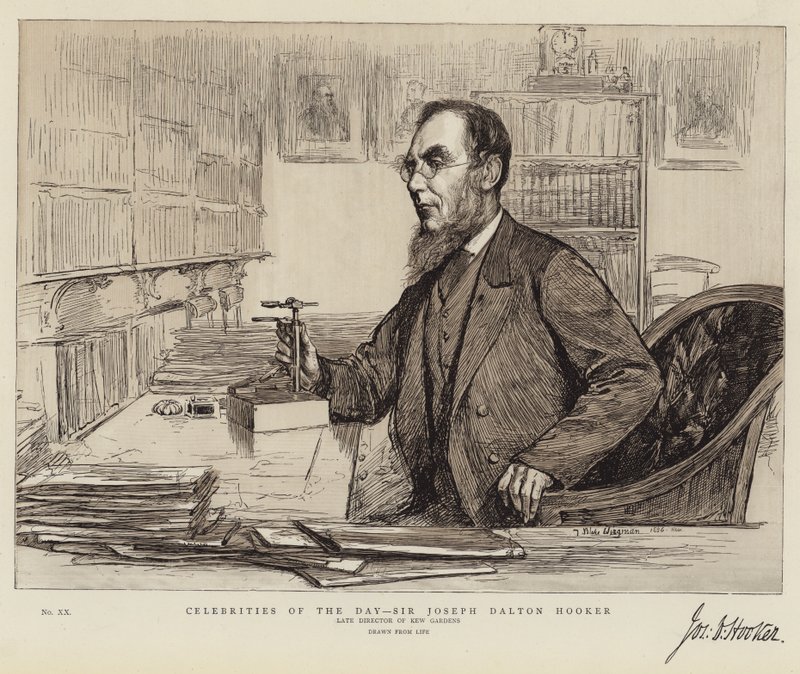 Celebrities of the Day, Sir Joseph Dalton Hooker by Theodore Blake Wirgman
