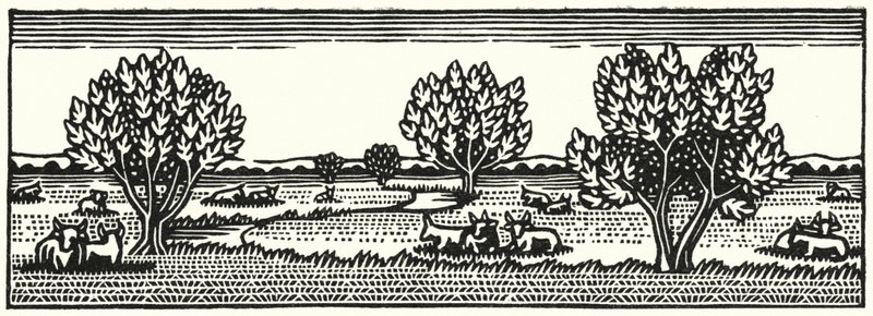 Illustration for Tess Of The D