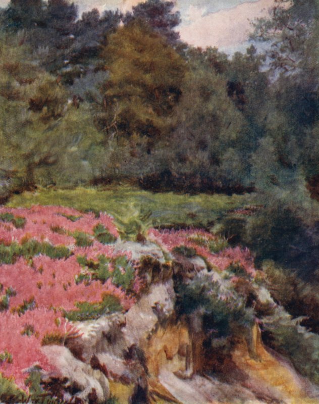 The New Forest: A Gravel Pit Head at Royden by Walter Frederick Roofe Tyndale