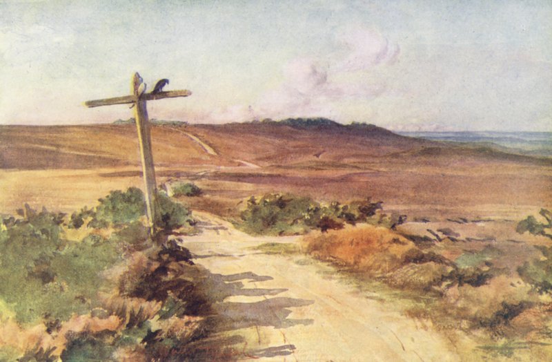 Wessex: Bere Heath in autumn, with Gallows Hill in the distance by Walter Frederick Roofe Tyndale