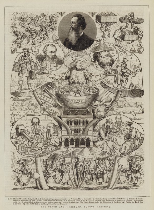 The Perth and Hereford Fungus Meetings by Walter Granville Smith