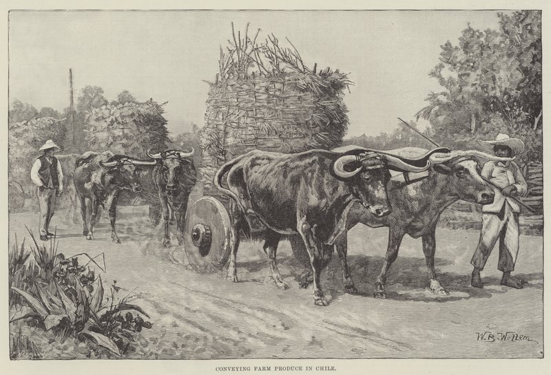 Conveying Farm Produce in Chile by William Barnes Wollen