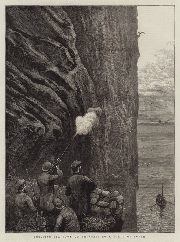 Shooting Sea Fowl on the Bass Rock, Firth of Forth by William Bazett Murray