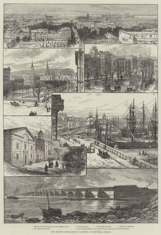 The British Association of Science at Montreal, Canada by William Henry James Boot