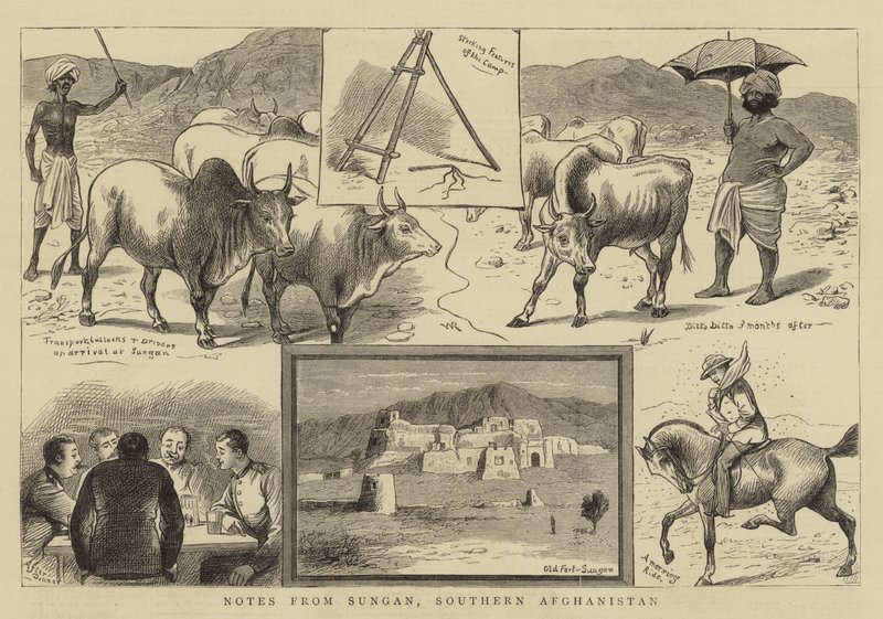 Notes from Sungan, Southern Afghanistan by William Ralston