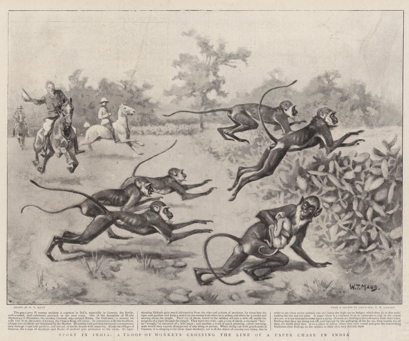 Sport in India, a Troop of Monkeys crossing the Line of a Paper Chase in India by William T. Maud