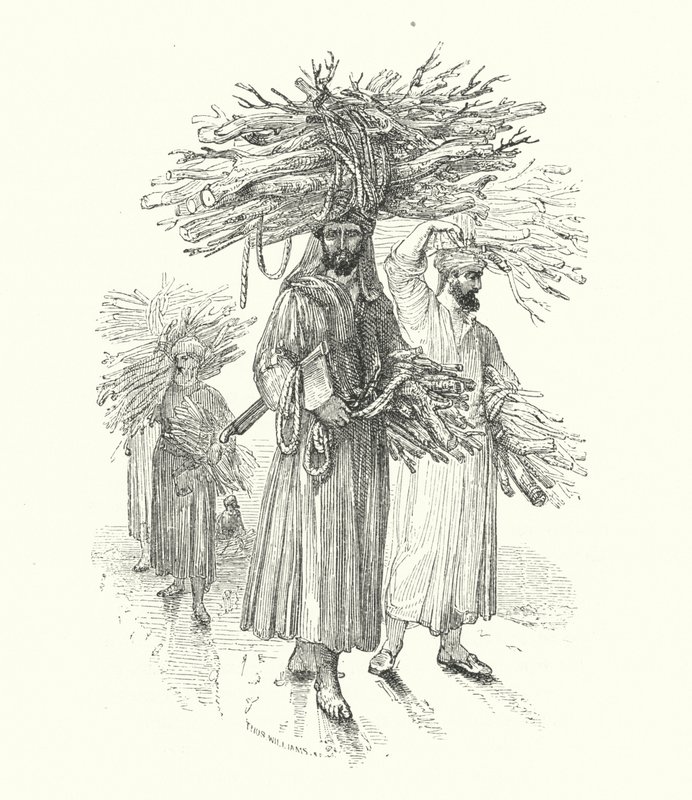 Second Prince as a Wood-cutter by William (after) Harvey