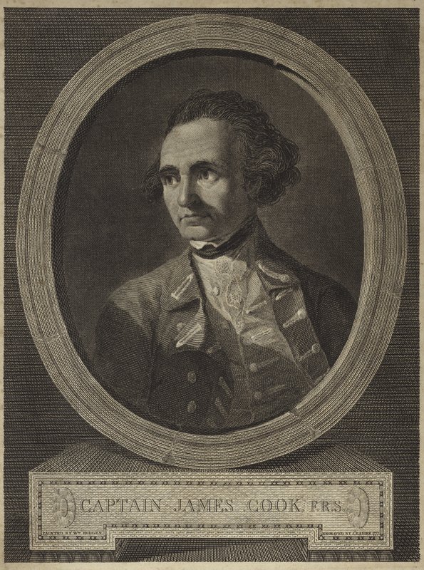 Portrait of Captain James Cook (engraving) by William (after) Hodges