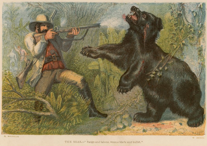 The Bear by William Dickes