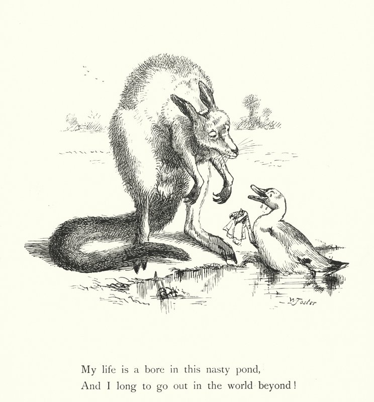 The Duck And The Kangaroo by William Foster