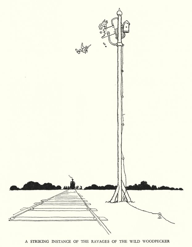 Illustration for Railway Ribaldry by William Heath Robinson