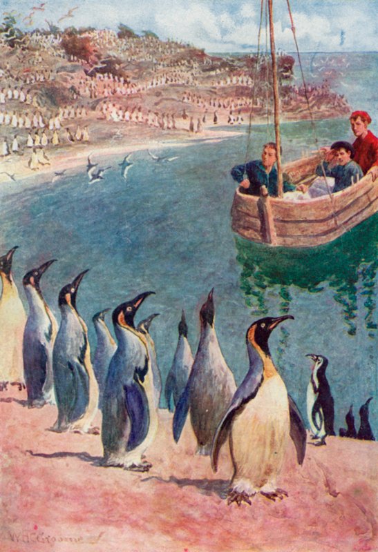We gazed at the birds with surprise and pleasure, they returning our gaze with interest by William Henry Charles Groome