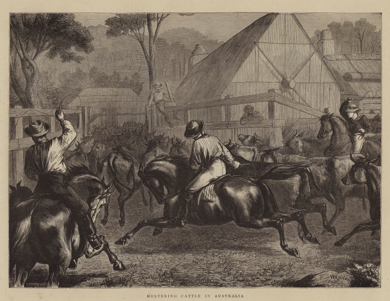 Mustering Cattle in Australia by William Ralston