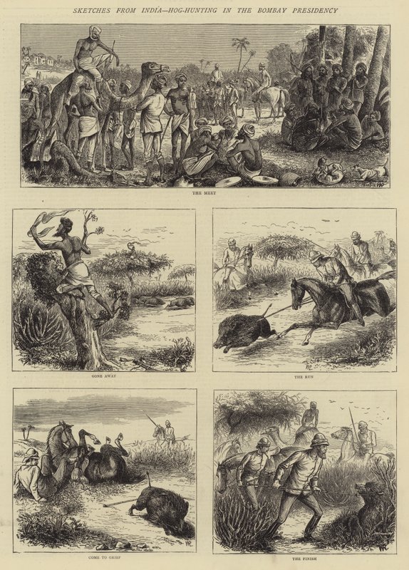 Sketches from India, Hog-Hunting in the Bombay Presidency by William Ralston