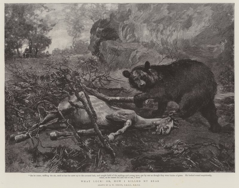 What Luck! or, How I killed My Bear by William Strutt