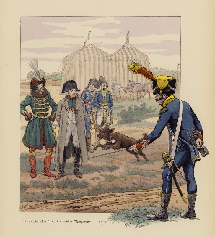 The Dog Moustache Presented to Napoleon by pseudonym for Onfray de Breville Jacques Job