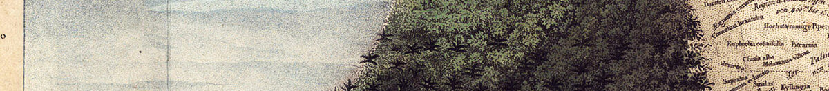 Geography of Plants in Tropical Countries, A Study of the Andes, drawn by Schoenberger and Turpin, printed by Langlois, Paris (Baron Friedrich Alexander von Humboldt), Detail: Bewaldete Bergflanke